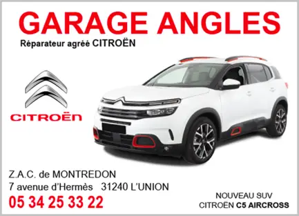 Logo Citroën Angles