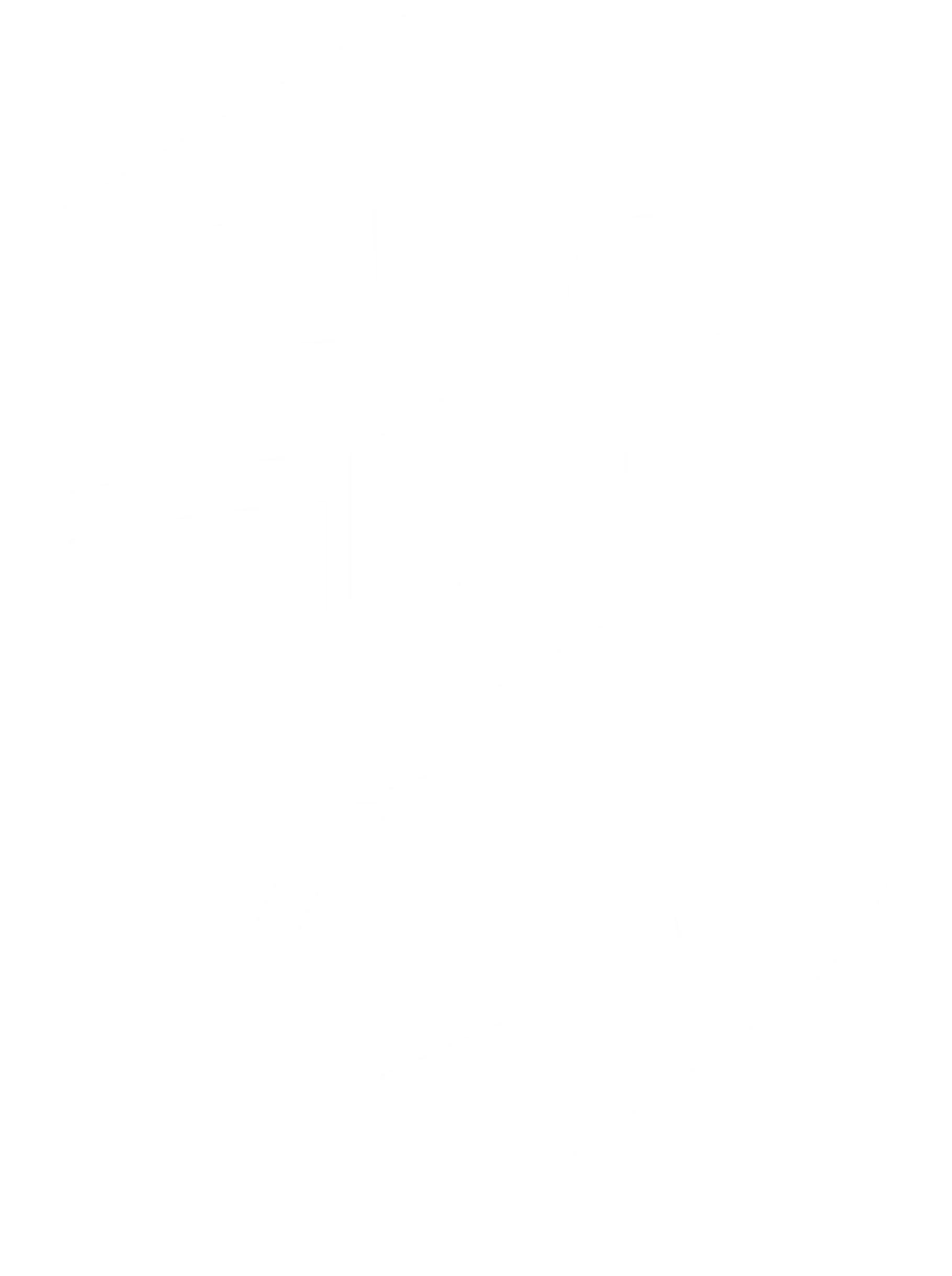 Logo LFO