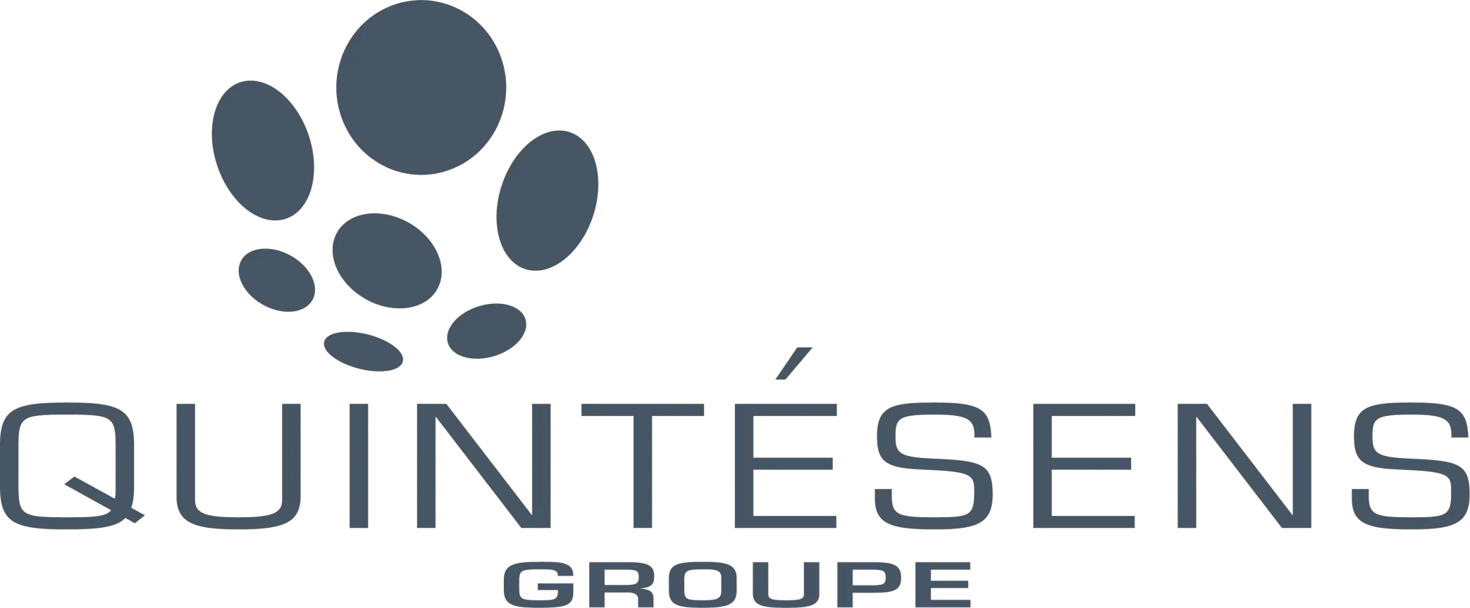 Logo Quintésens